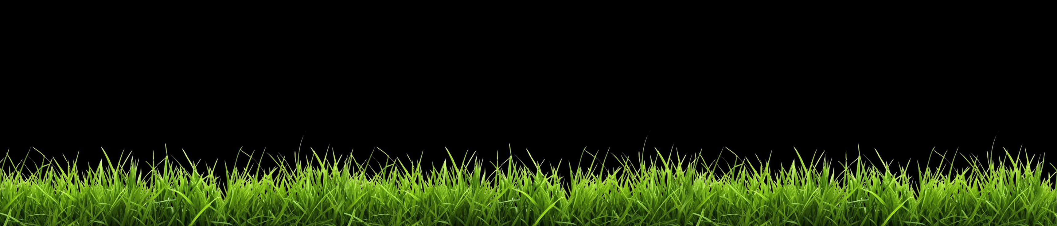 Grass