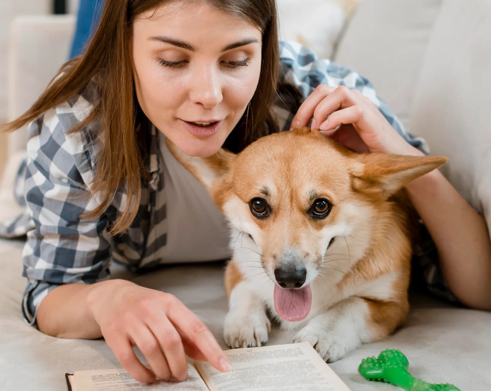 Woman reading a book with her corgi on the couch