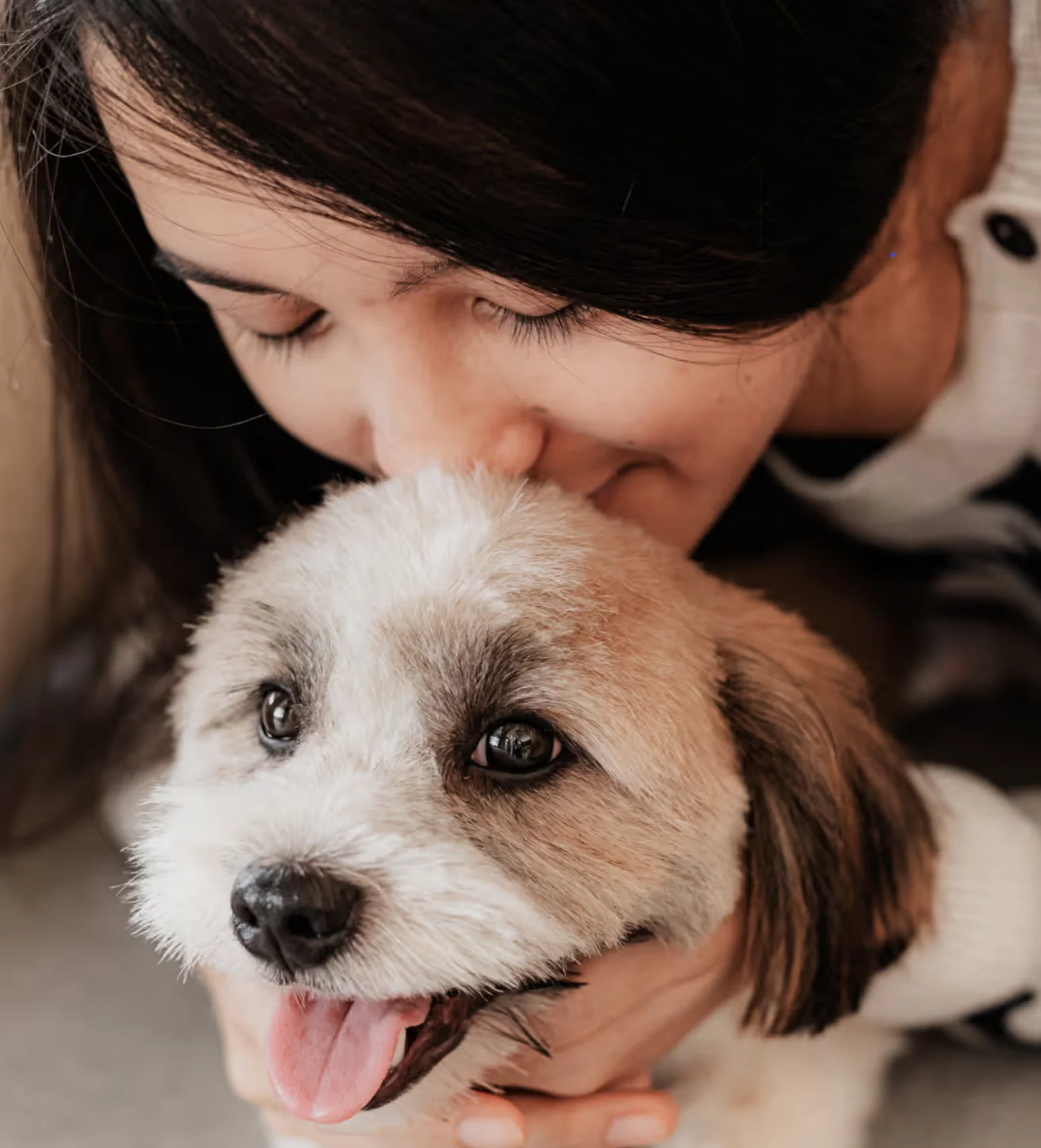 Woman kissing her fluffy puppy