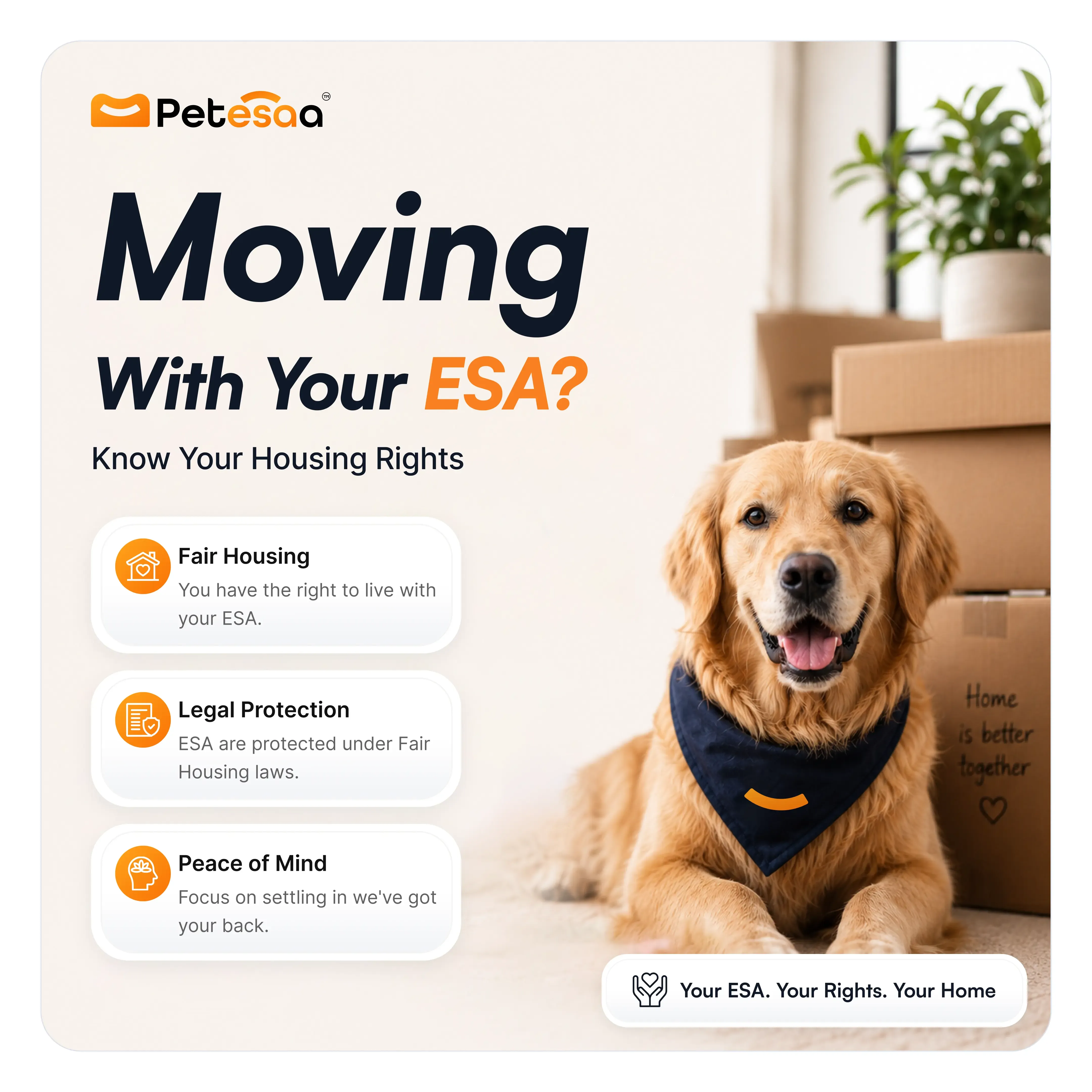 Do You Need to Renew Your ESA Letter Every Year? Everything You Should Know
