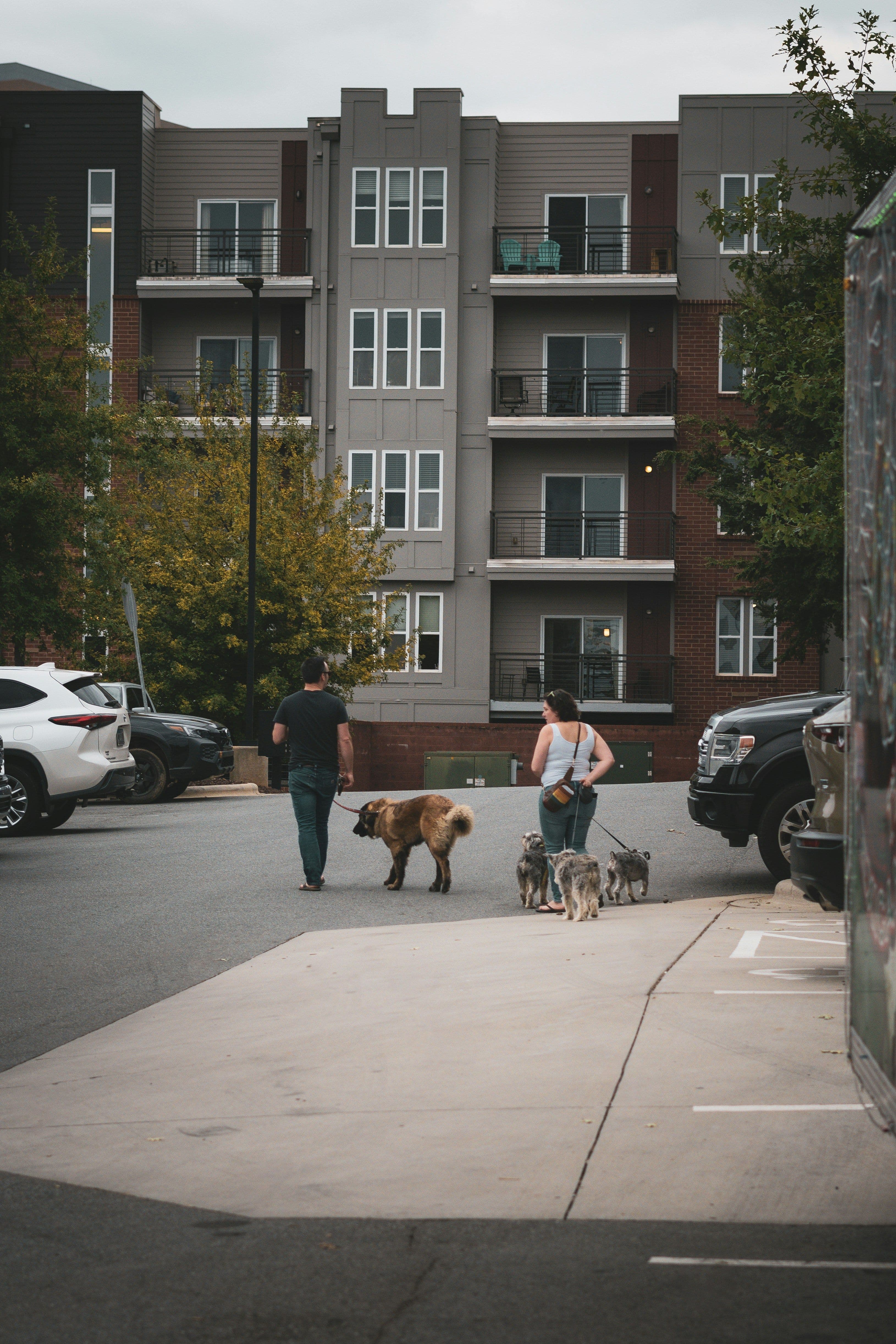 Can an Emotional Support Animal Live in a No-Pets Apartment? What You Should Know