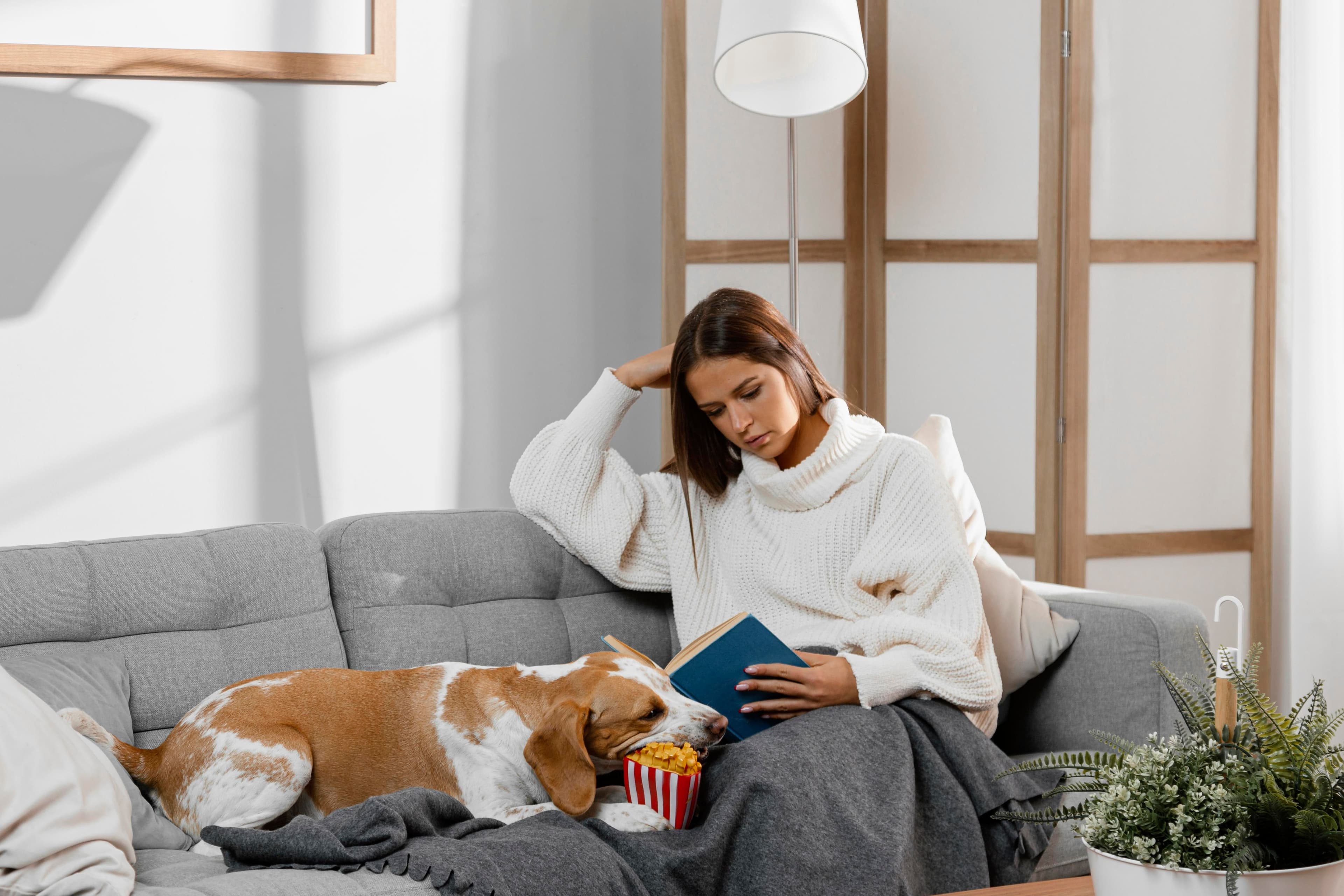 Can You Get an ESA Letter for Anxiety? Everything You Need to Know